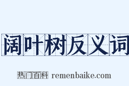 阔叶树反义词是什么意思的图片